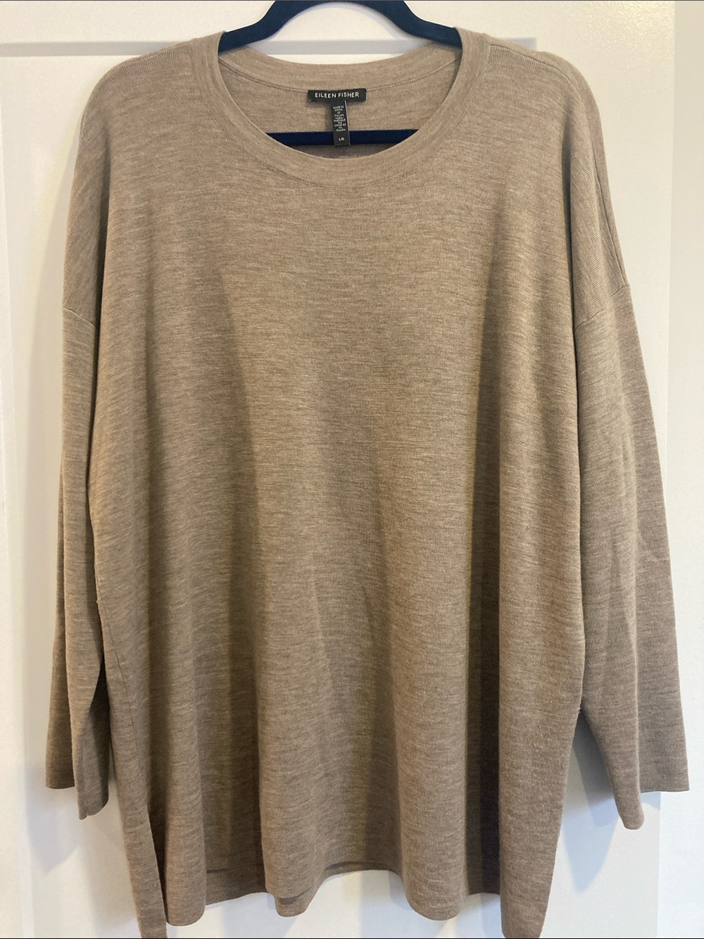 Eileen Fisher 100% Fine Merino Wool New Sweater in Beige